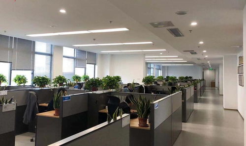 江蘇省電子信息產(chǎn)品質(zhì)量監(jiān)督檢驗研究院與信息安全測評中心 專業(yè)信息咨詢服務(wù)解析