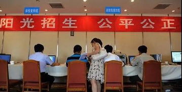 高招錄取正式啟動 石家莊市咨詢服務站電話公布，助力考生獲取關鍵信息